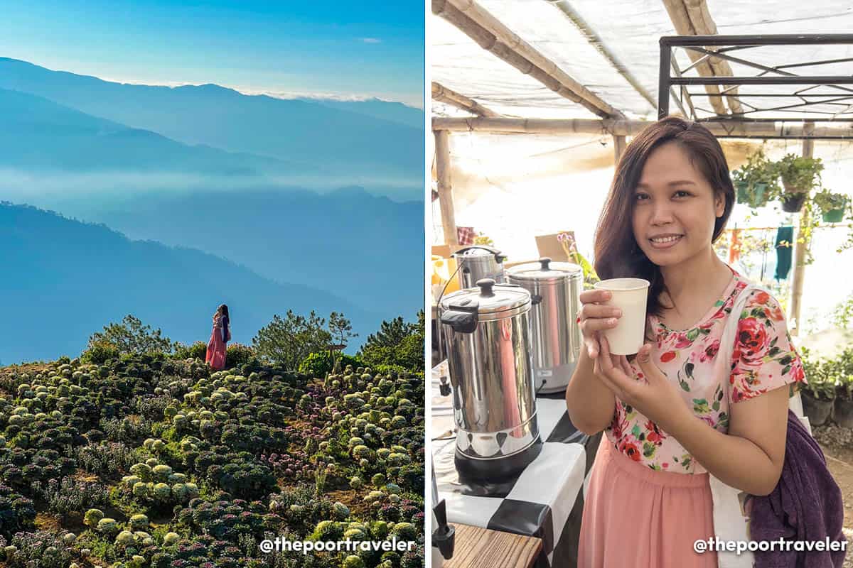 Atok Benguet S 10 Best Tourist Spots And Things To Do 2022