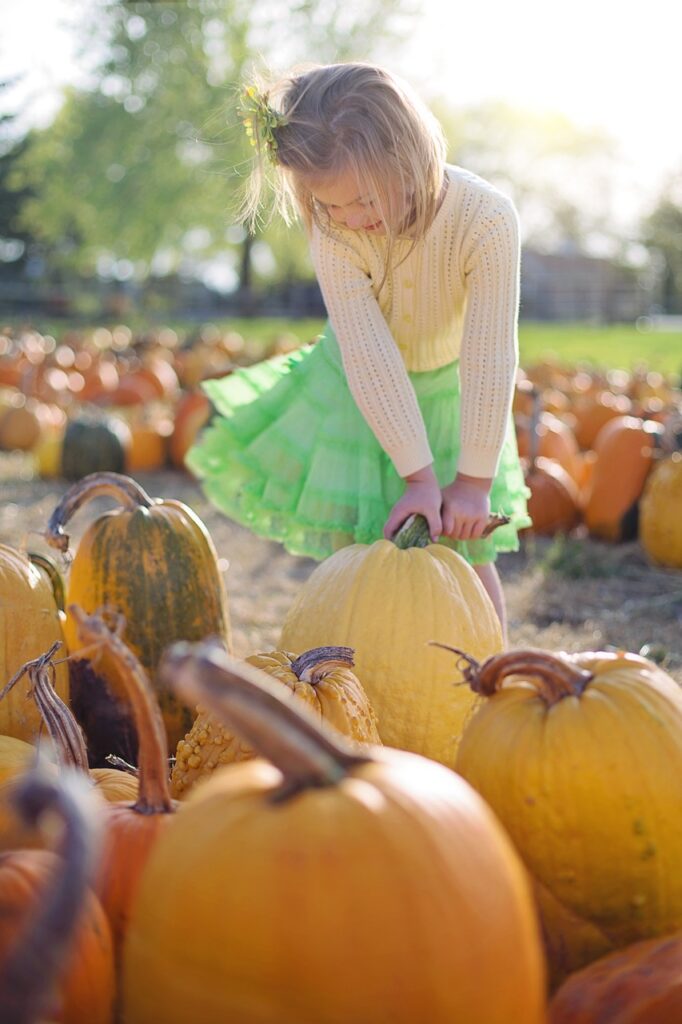 pumpkins, little girl, pumpkin patch