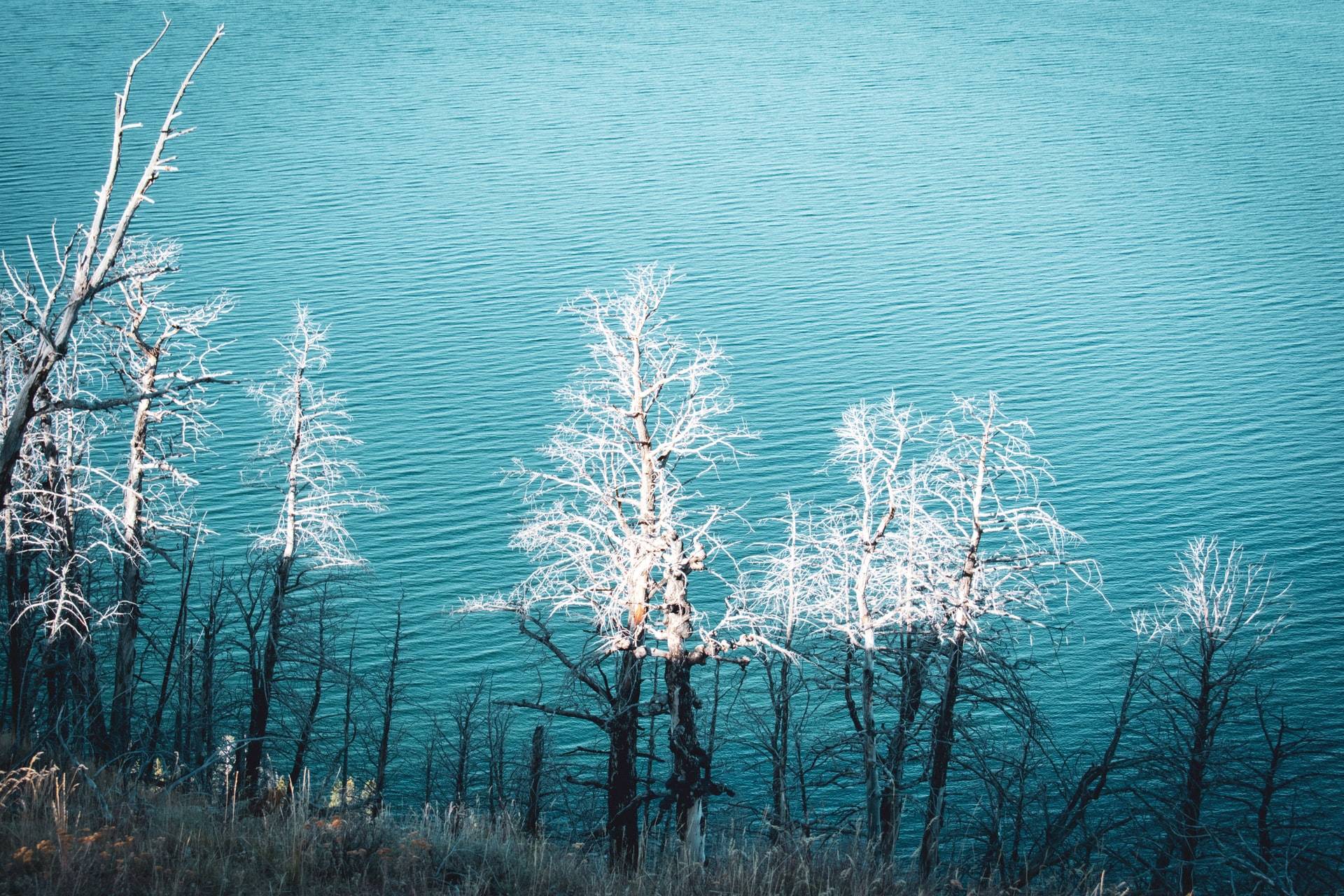 Reasons to Visit Yellowstone National Park in Winter - Ustravelfirst.com