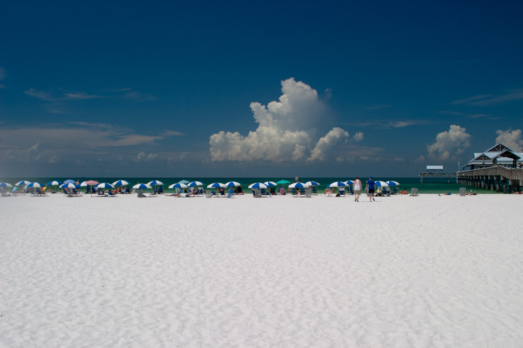5 Best Things To Do in Clearwater and Where to Stay