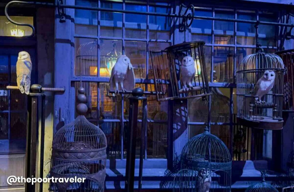 Harry Potter Tokyo Owls