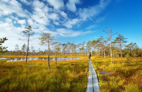 How to hike the Baltic Trails