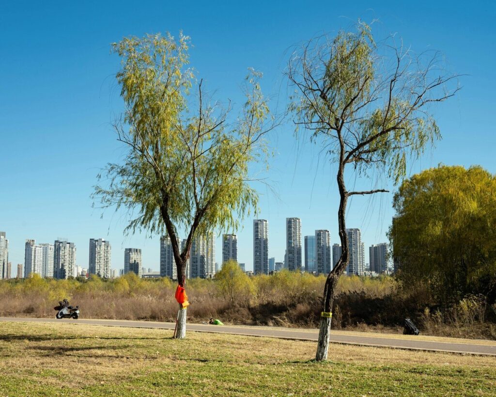 Micro-Adventures for Better Focus: Easy Ways to Fight Off a Heavy Semester
