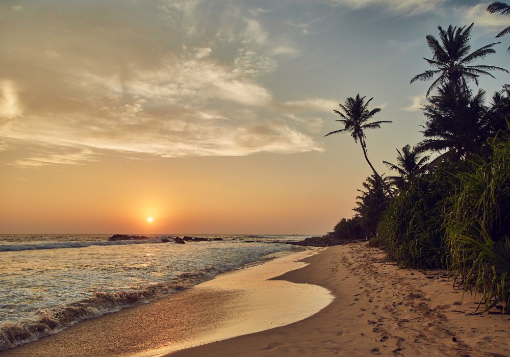 Reasons Southern Asia Should Be On Your Travel List
